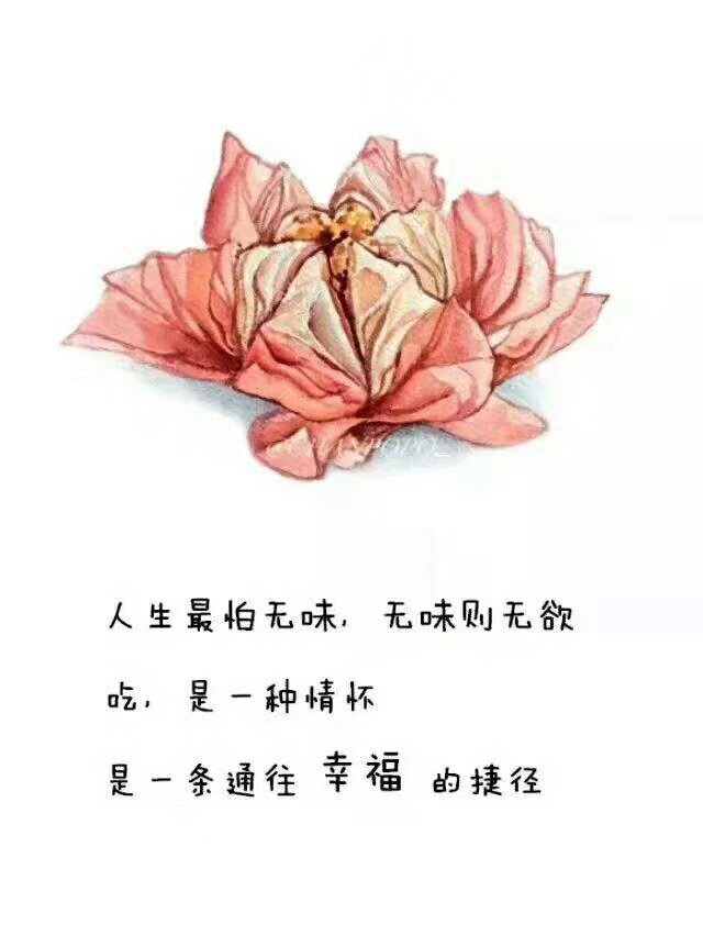 一種情懷 - 第5张图片 | 東漁而笠 一種情懷 - 第5张图片